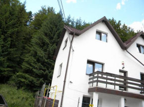Caraiman Hive Buşteni
